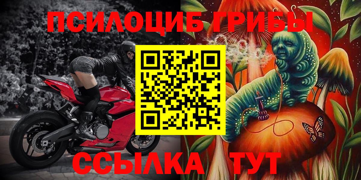 Еманжелинск  Галлюциногенные грибы прущие грибы  цена   Вход с VPN  Псилоцибиновые грибы мицелий 