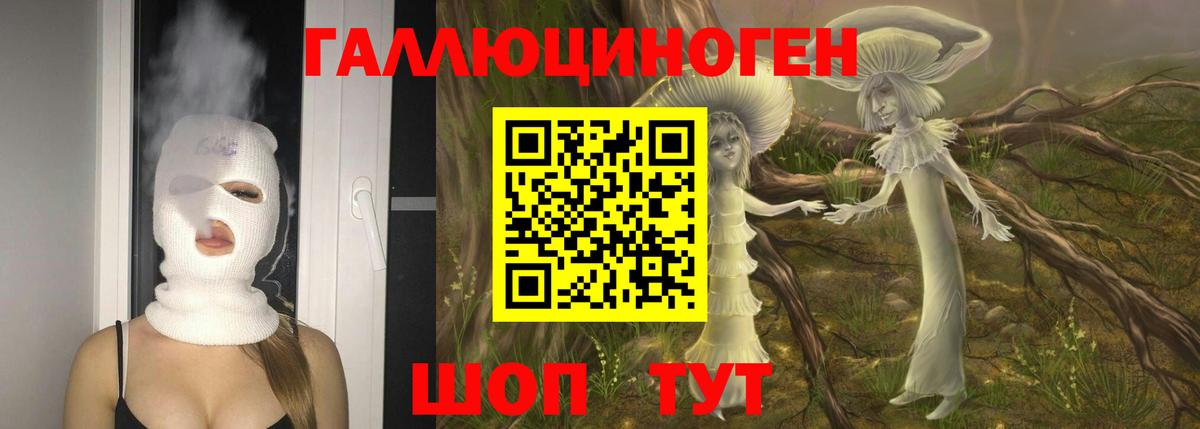 Галлюциногенные грибы Psilocybine cubensis Еманжелинск